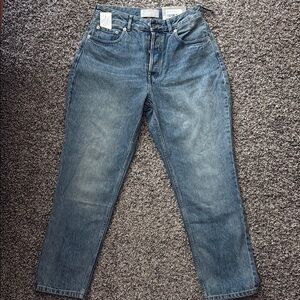 Everlane Vintage Mid Blue Jeans